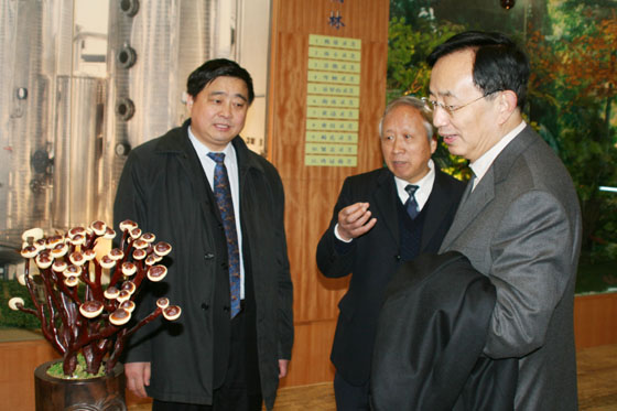 jnh官网