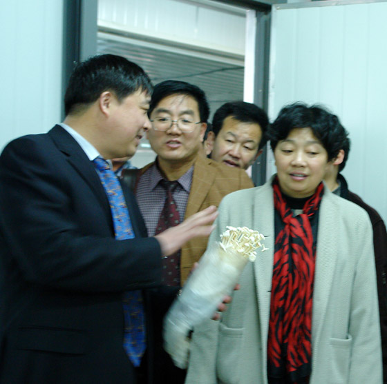 jnh官网 jnh官网